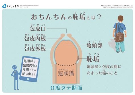 【泌尿器専門医が解説】異物を入れずにカリ高ペニスを作る唯一。